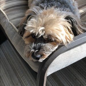 Meet your Posher, Nancy